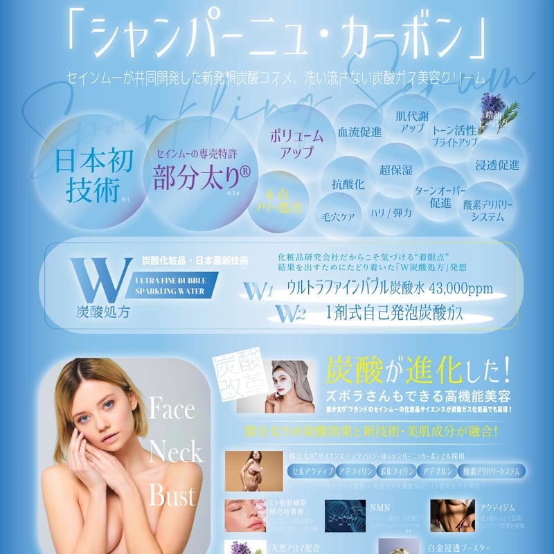 2ヶ月 定期便 15%オフ】洗い流さない炭酸ガスパック