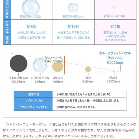 [Renewal!!]洗い流さない炭酸ガスパック「シャンパーニュカーボン」
