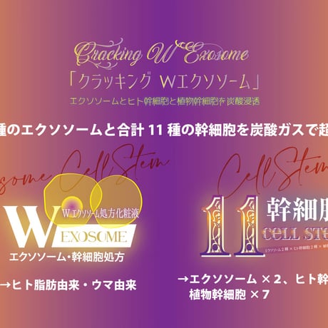 【1ヶ月 定期便 15%オフ】クラッキングWエクソソーム　〈2025/5/5リニューアル〉
