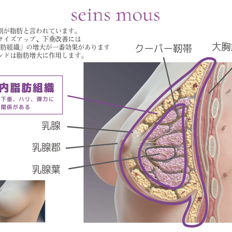 [セインムー・ボーテロンド 100mL]  部分太り®美容液-顔・首のシワ改善/バストケア