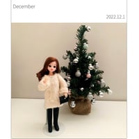 LICA  COLLECTION 2022