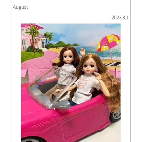 LICA  COLLECTION2023