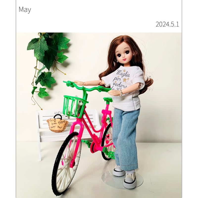 LICA COLLECTION 2024 | miik online shop