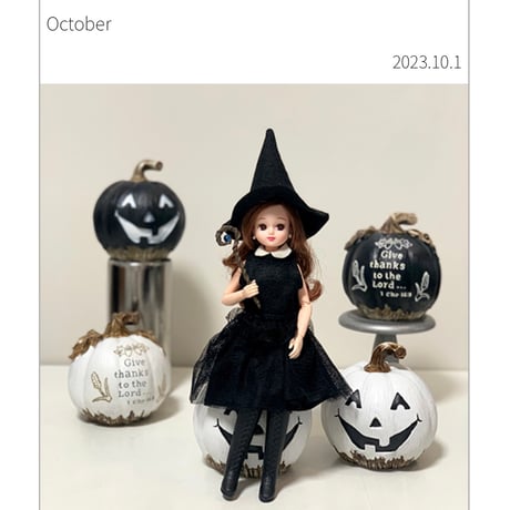 LICA  COLLECTION2023