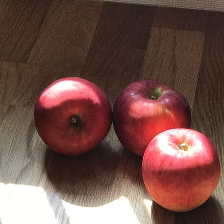 ［12cmミニサイズ］焼きたて♪紅玉りんごのフレンチアップルパイ