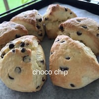 チョコチップ 6個セット