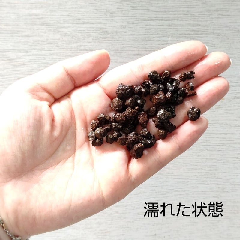 黒溶岩石 超極粒 blog_fiji_lava_stone-485x273.png