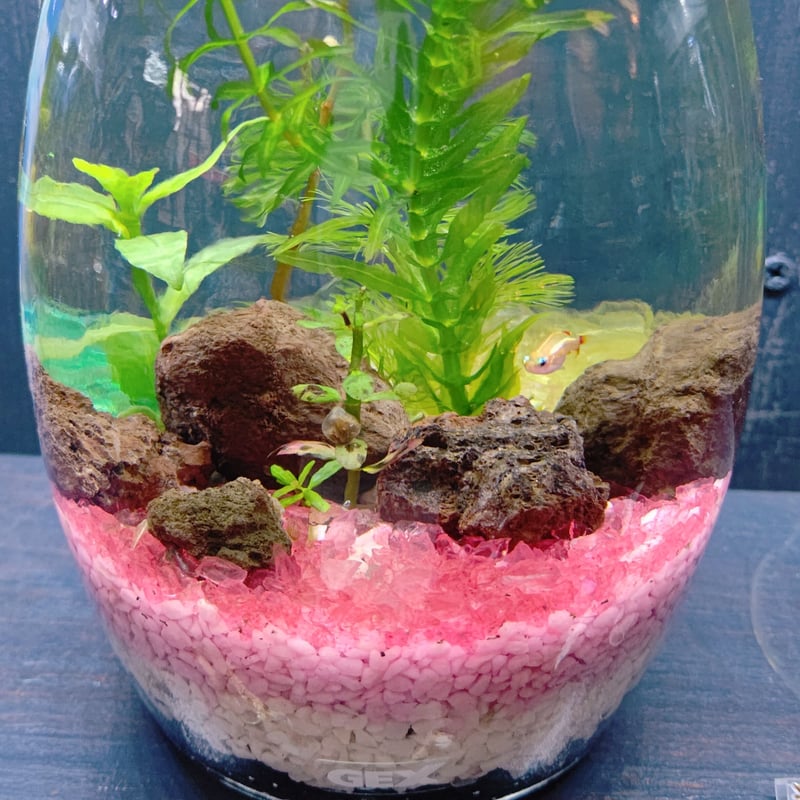 富士山『溶岩石』小サイズ(約1.5~3センチ) | BOTTLIUM®️ 富士山『溶岩石』小サイズ(約1.5~3センチ) | BOTTLIUM®️