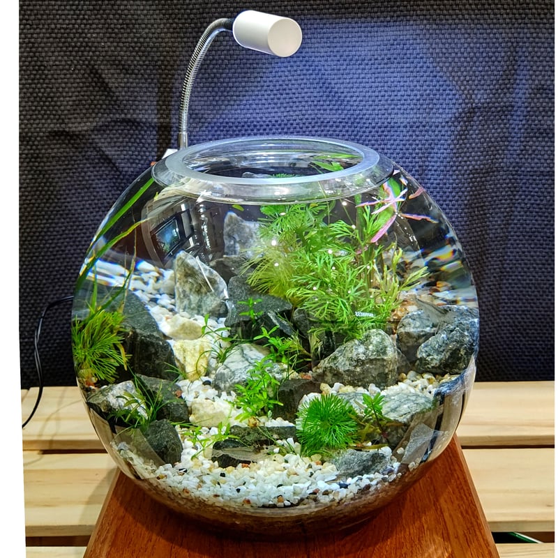 水草を枯らさない！】ボトリウム®専用LEDライト【Pitera】 | BOTTLIUM®️