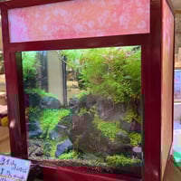 LEDライト 水草用 水草用ライトの決定版。アクロLEDライトの違いを知る徹底比較