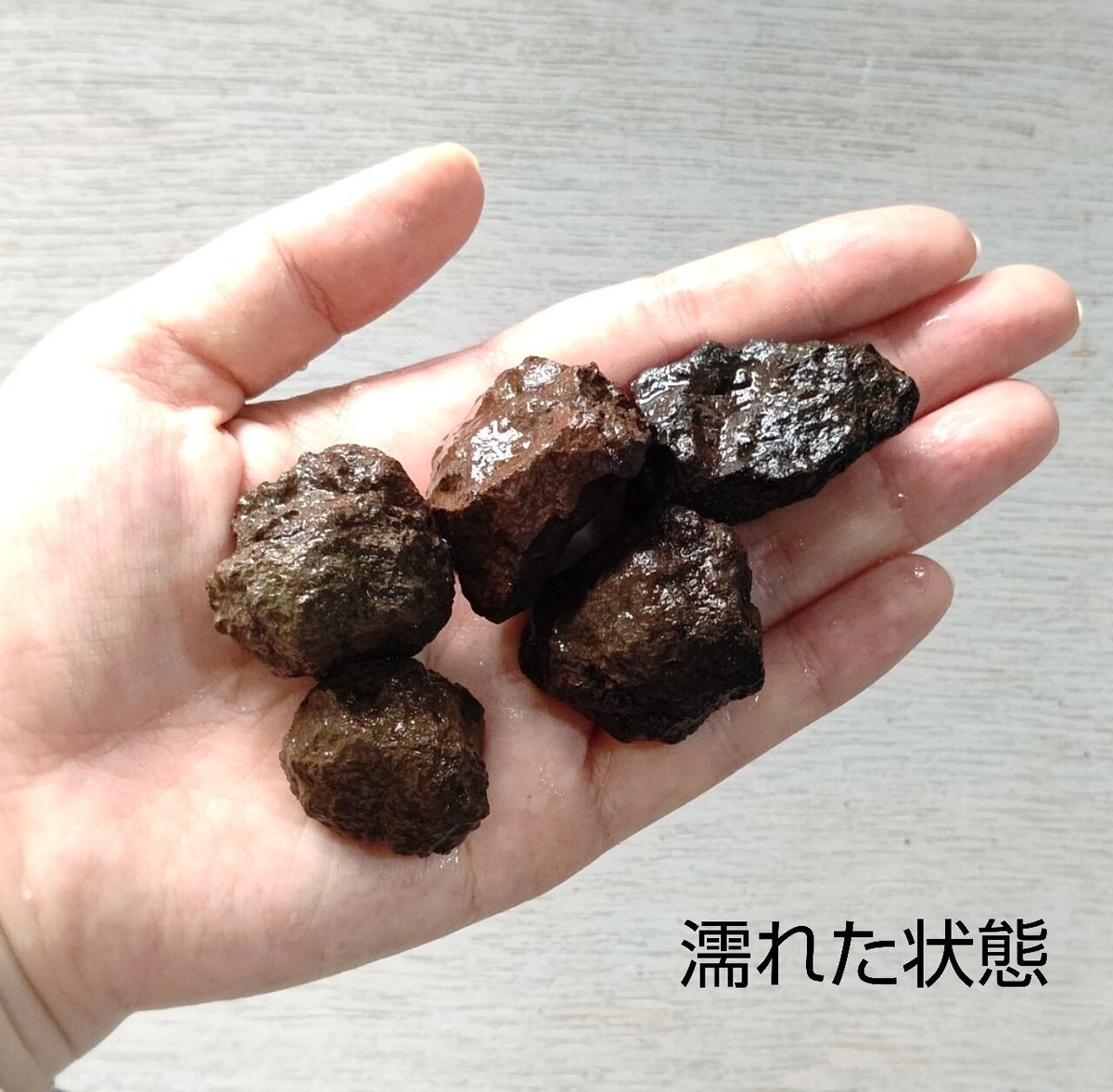 富士山『溶岩石』中サイズ(約2.5～4センチ) | BOTTLIUM®️