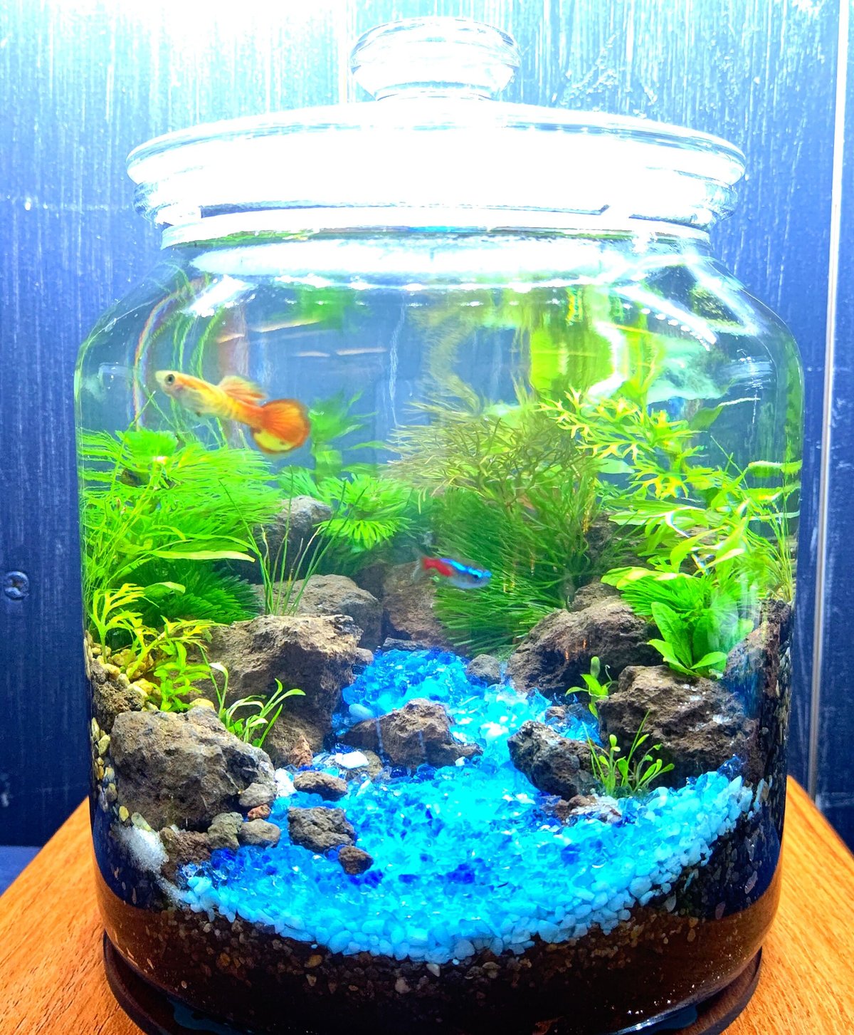 fit=scale-down,w=1200