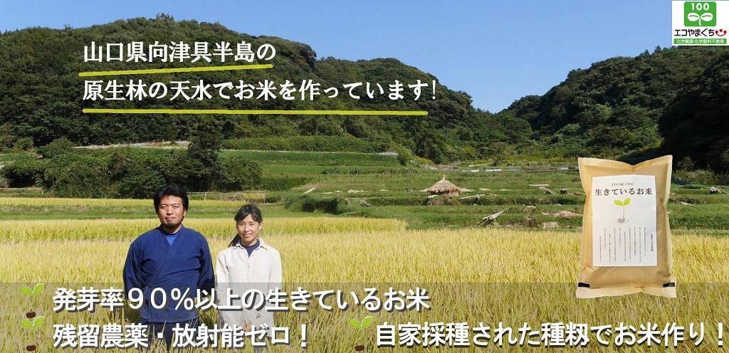 くら里木