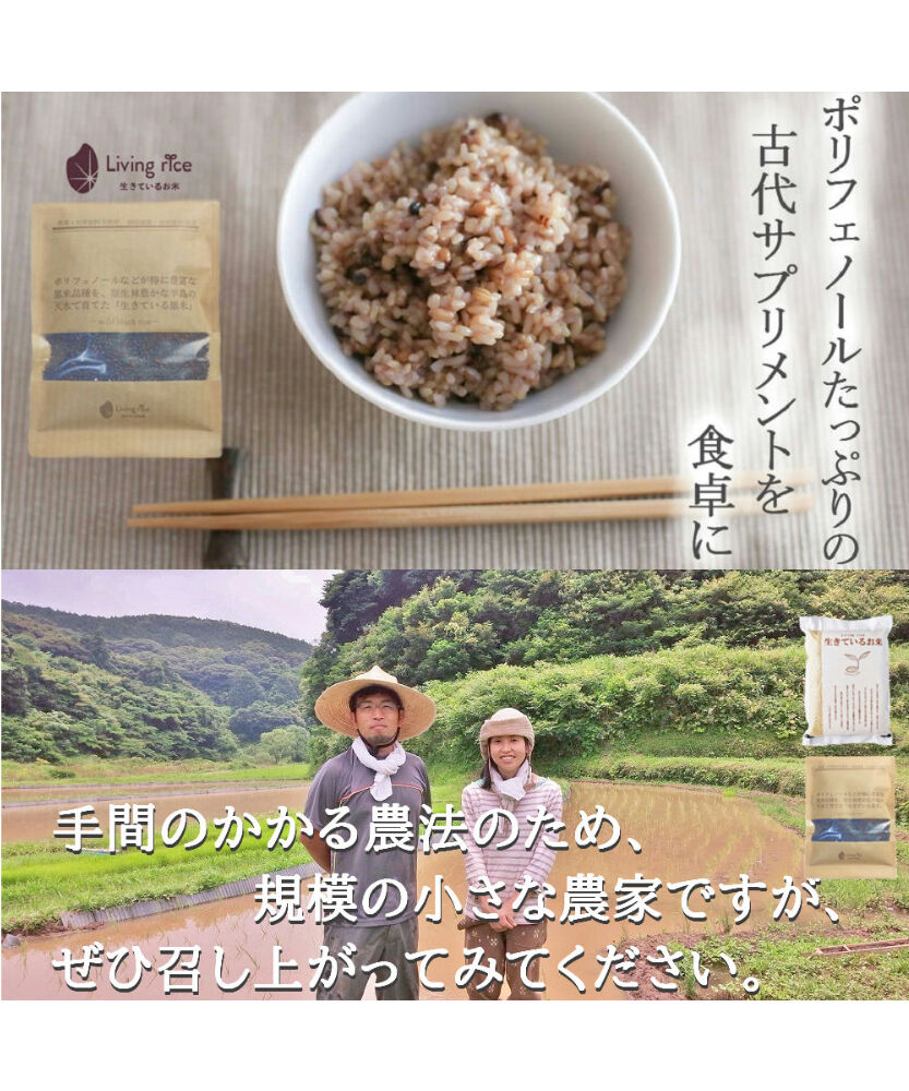 生きているお米の黒米 200ｇ 無農薬無化学肥料栽培 保存に便利な