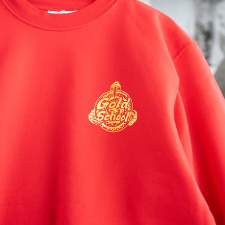 Enter the dragon sweat shirt