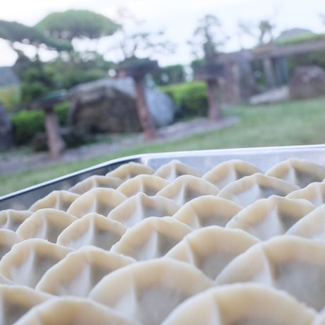 《簡易パッケージ》かわしも水餃子_20ヶ