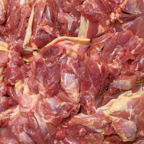鹿児島産種鶏もも肉の水餃子_12ヶ（数量限定）
