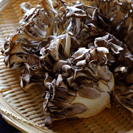 干し舞茸の水餃子_12ヶ