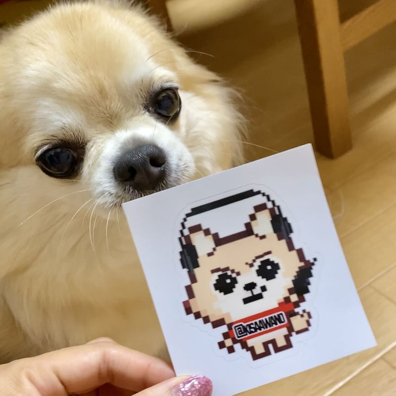 コドライバー チョコ