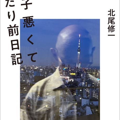 北尾春道【　＜増補復刻版＞　数寄屋聚成・全巻セット／全20巻17冊】叢文社 増補覆刻版 数寄屋聚成 全20巻（17冊）北尾春道| 建築の本、古本