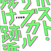 『ポスト・サブカル焼け跡派』（TVOD・著）
