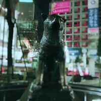 『ルポ渋谷』01-ニュージャーナリズム的視点 commentary（何処に行っても犬に吠えられる）