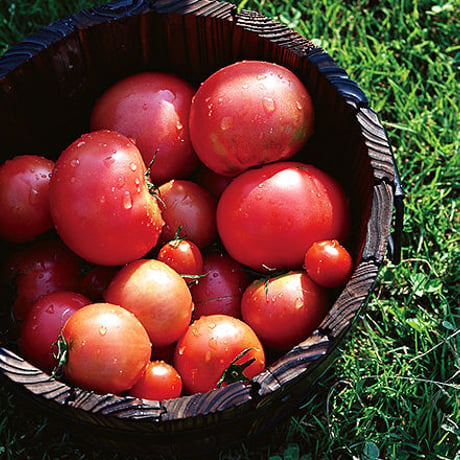 プラスオイル 国産菜種油とまと（180g）