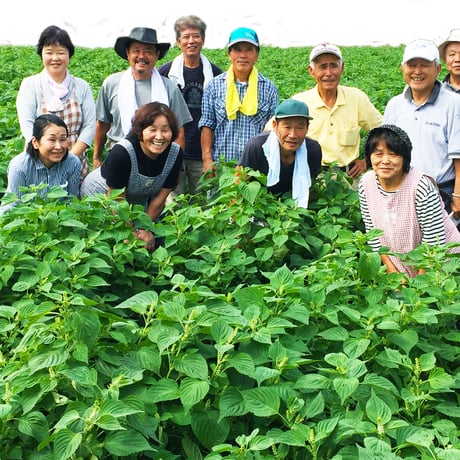 熊本県菊池産 きくちのえごま油（45g）2本セット