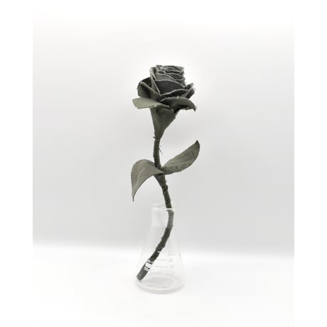 Fragment Rose - French Military - ｜ Remake by VERS