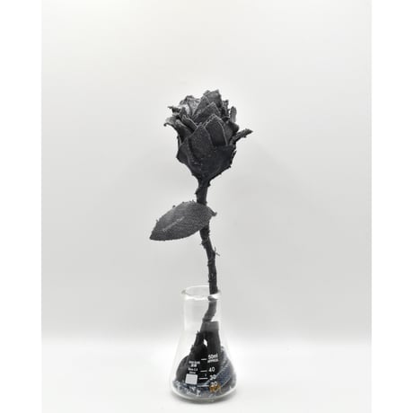 Fragment Rose - Faded Black -｜ Remake by VERS