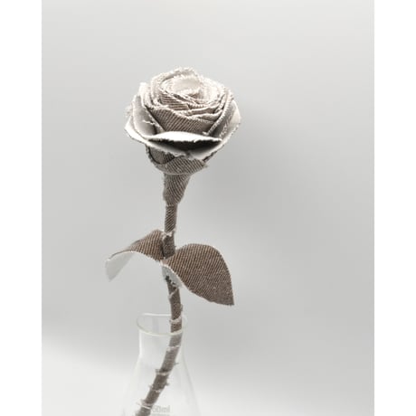 Fragment Rose - Café au Lait -｜ Remake by VERS