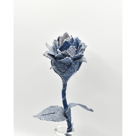 Fragment Rose - Chemical Wash -｜ Remake by VERS