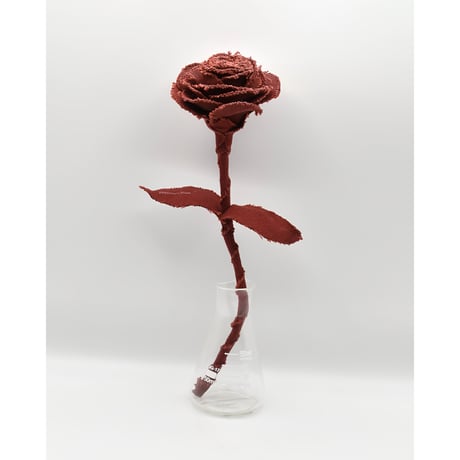 Fragment Rose - Brick Red -｜ Remake by VERS