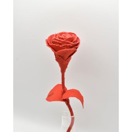 Fragment Rose - Scarlet Red -｜ Remake by VERS