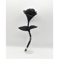 Fragment Rose - Fade Black - / TYPE B ｜ Remake by VERS