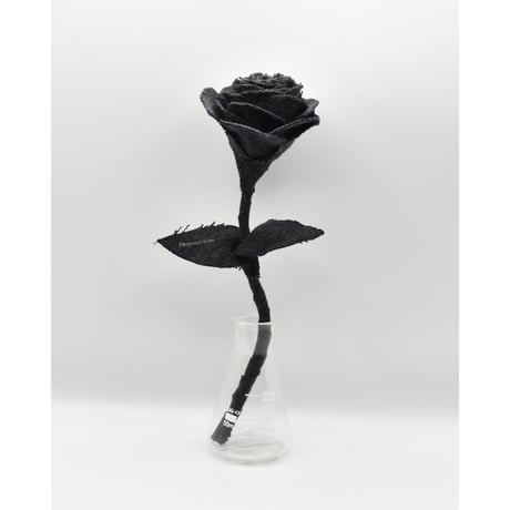 Fragment Rose - Fade Black -｜ Remake by VERS