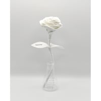 Fragment Rose - White - ｜ Remake by VERS