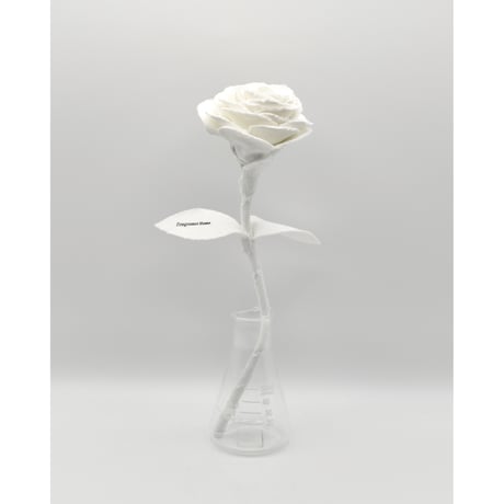 Fragment Rose - White - ｜ Remake by VERS