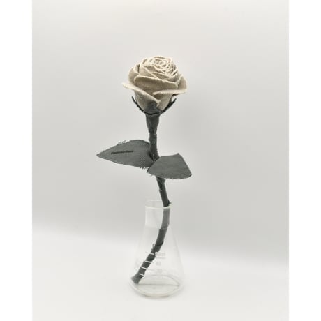 Fragment Rose - Ash Ivory - ｜ Remake by VERS