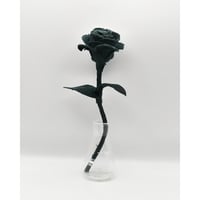 Fragment Rose - Deep Forest Green - / TYPE B ｜ Remake by VERS