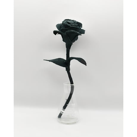 Fragment Rose - Deep Forest Green - ｜ Remake by VERS