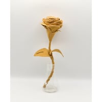 Fragment Rose - Amber Orange - / TYPE B ｜ Remake by VERS
