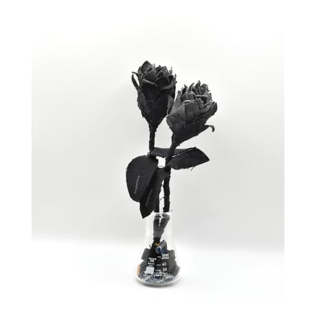 Fragment Rose - Black -｜ Remake by VERS