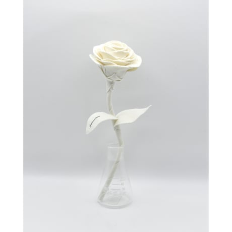 Fragment Rose - Ecru Blanc -｜ Remake by VERS