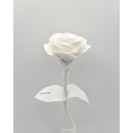 Fragment Rose - Pure White -｜ Remake by VERS