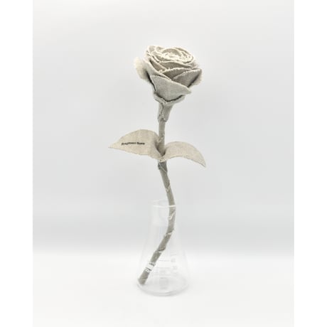 Fragment Rose - Natural Ivory -｜ Remake by VERS