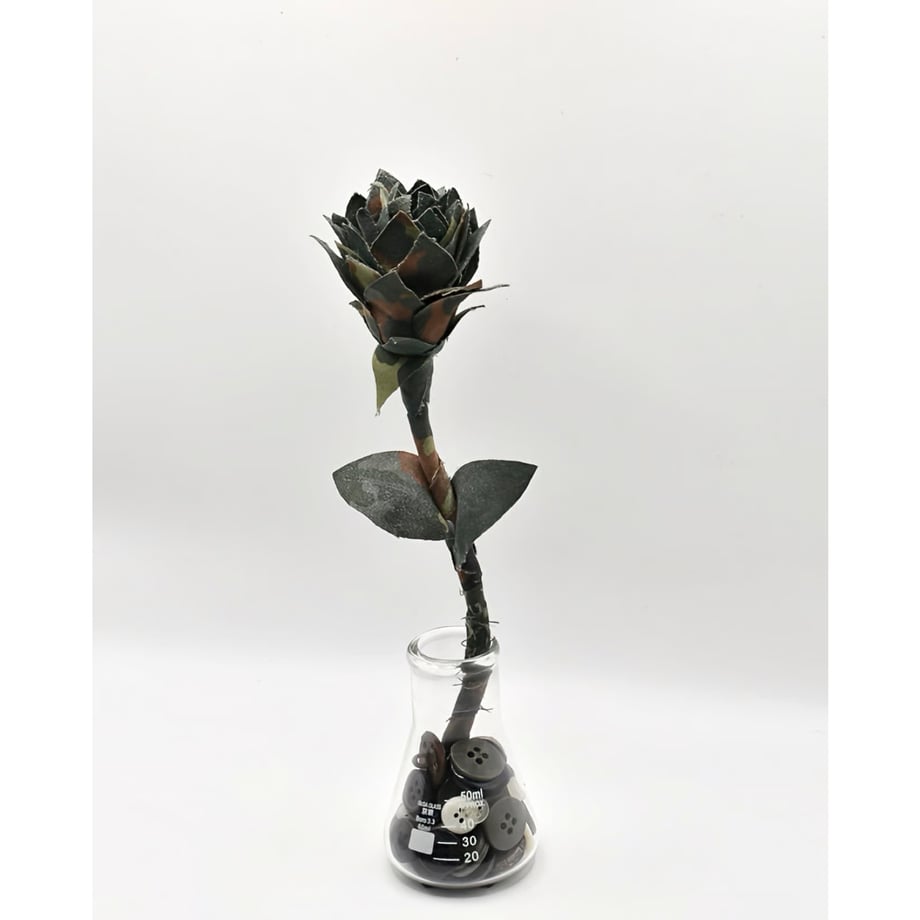 699a95ed3e68ea78c5bb1ac8
