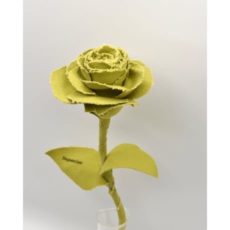 Fragment Rose - Olive Yellow  -｜ Remake by VERS