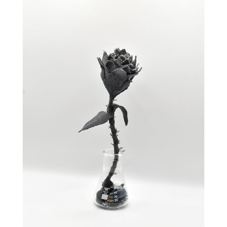 Fragment Rose - Faded Black -｜ Remake by VERS