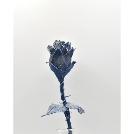 Fragment Rose - Deep Indigo  -｜ Remake by VERS